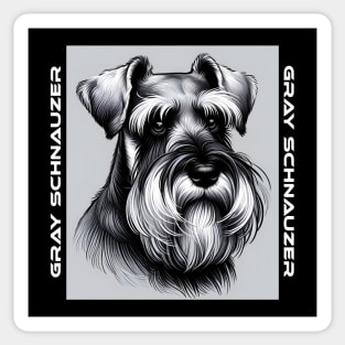 Gray Schnauzer Sticker